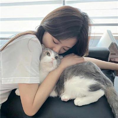 娘道 在线观看
